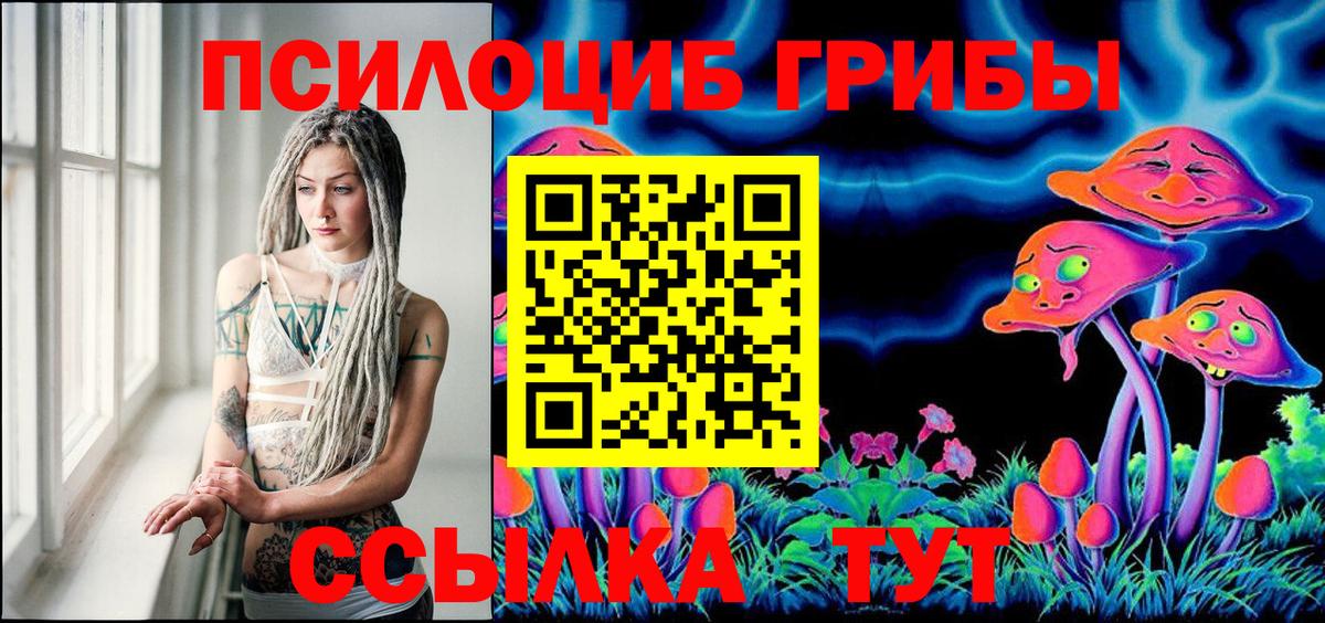 Псилоцибиновые грибы Cubensis  Вход с VPN  Карачаевск 